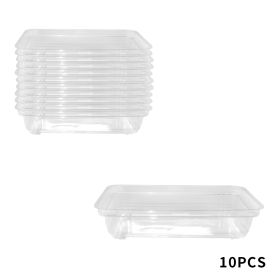 Transparent Seedling Tray Gardening Vegetable Plant Seed Germ Development Cultivation Tray (Option: Medium 10pcs)