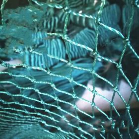 100m Poultry Chicken Netting Fence Chicken Netting Netting (Option: 2meters high and 10meters lo)